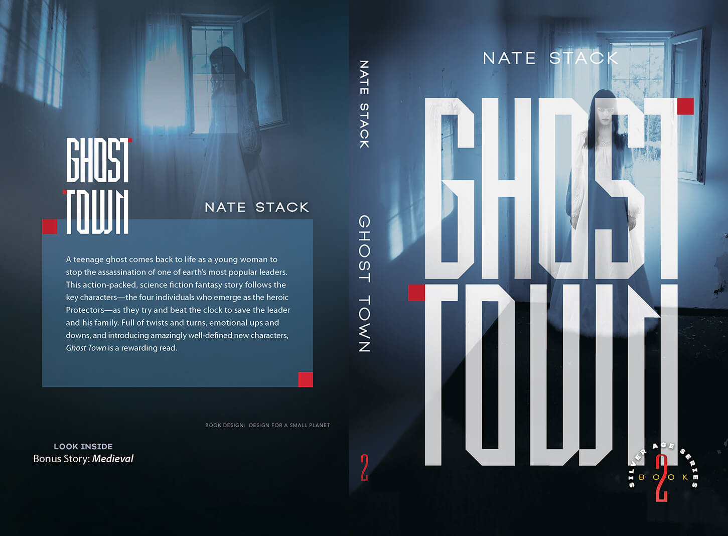 Design for a Small Planet